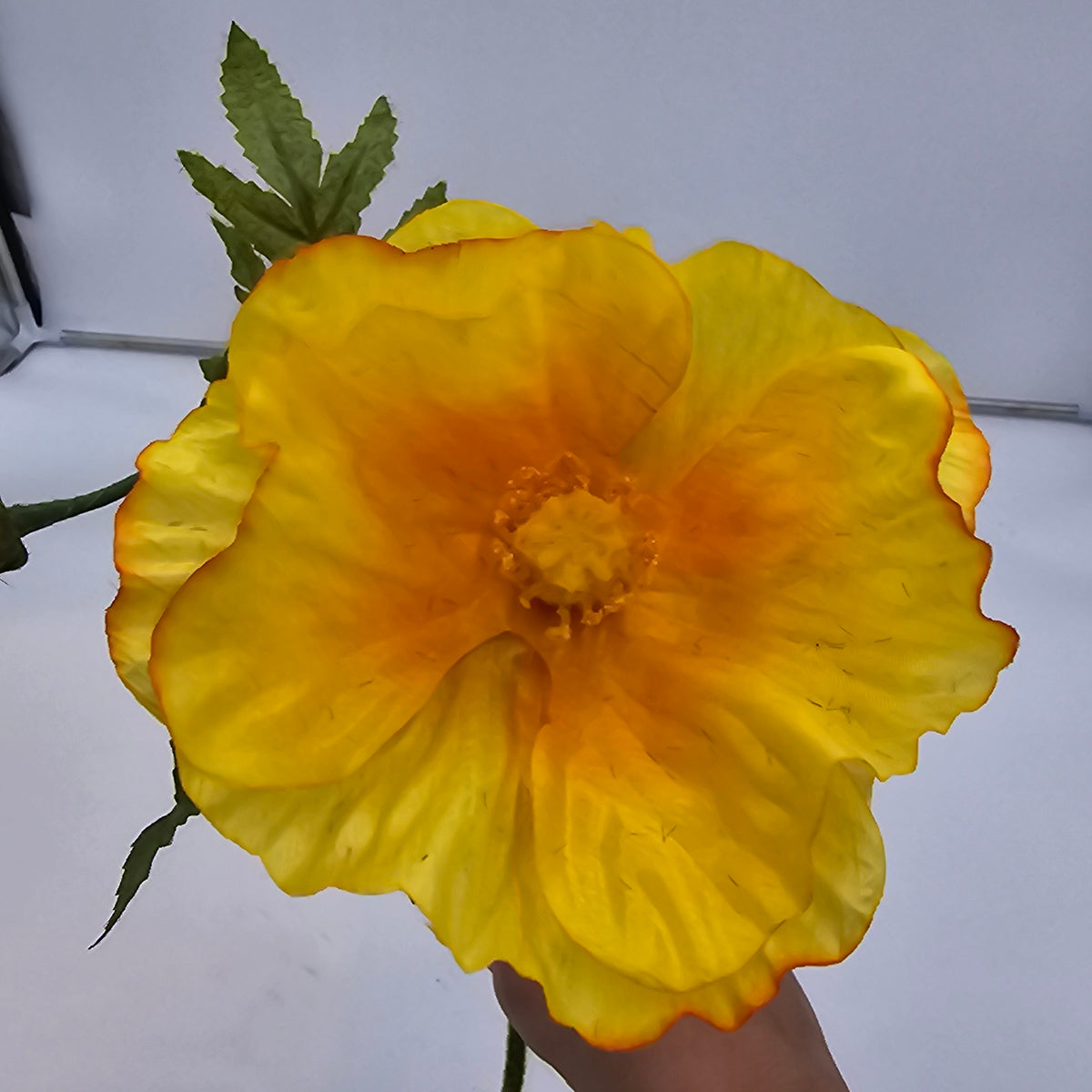 28&quot;POPPY--gtp103