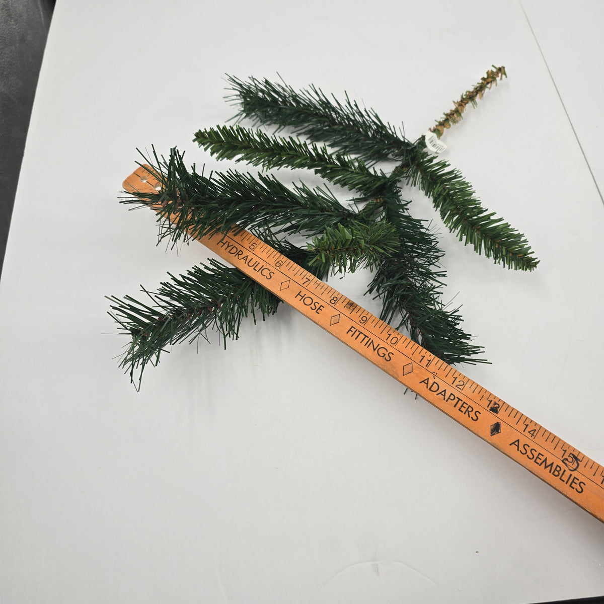 15&quot; Princess Pine