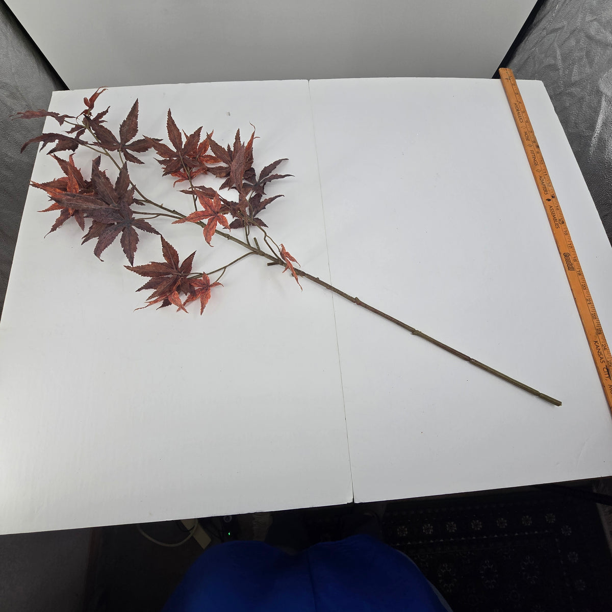 38&quot; Maple Leaf Spray--#psm833