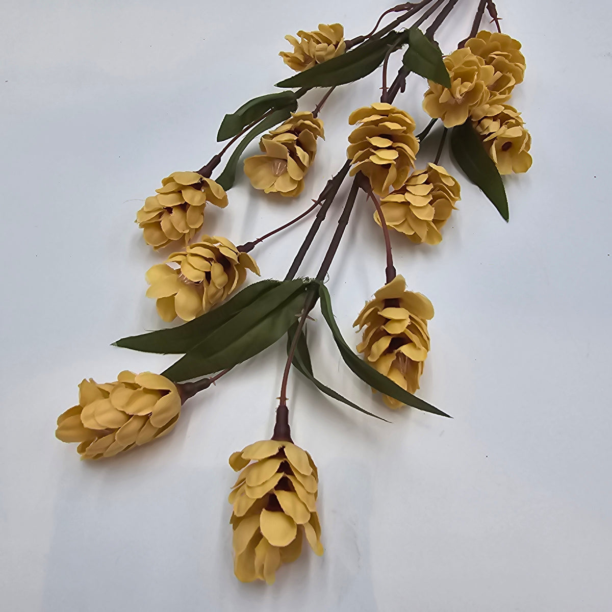 Hops Spray-31" #fsh172