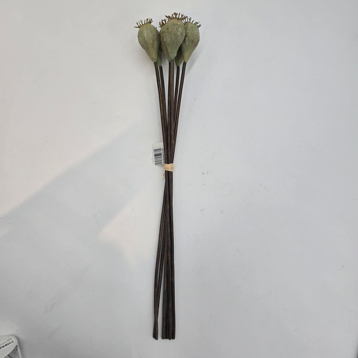 18&quot; Poppy Pod Bundle/6 #fsp037