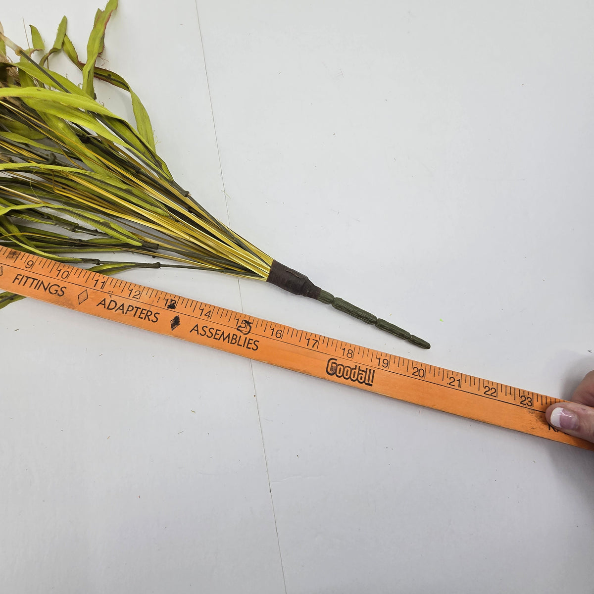 20&quot; Wheat Bush--#pbw110