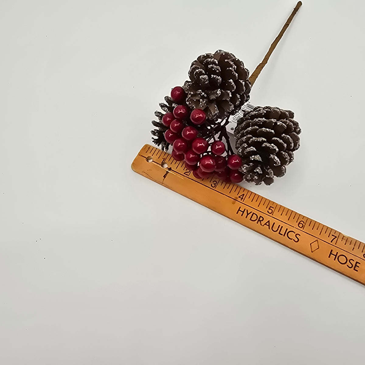 10&quot; Berry/Cone Pick-Gltr Cone #133422