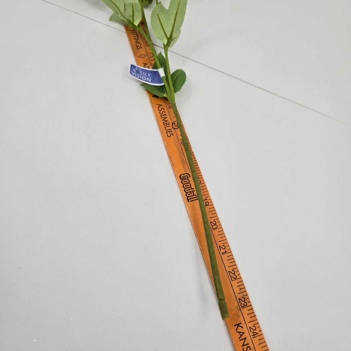 23&quot; Helleborous--#fsh153