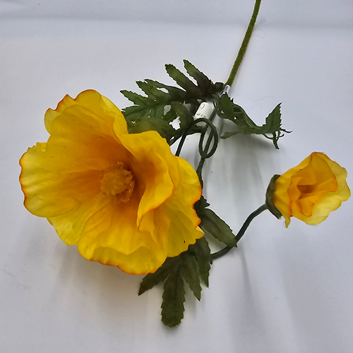 28&quot;POPPY--gtp103