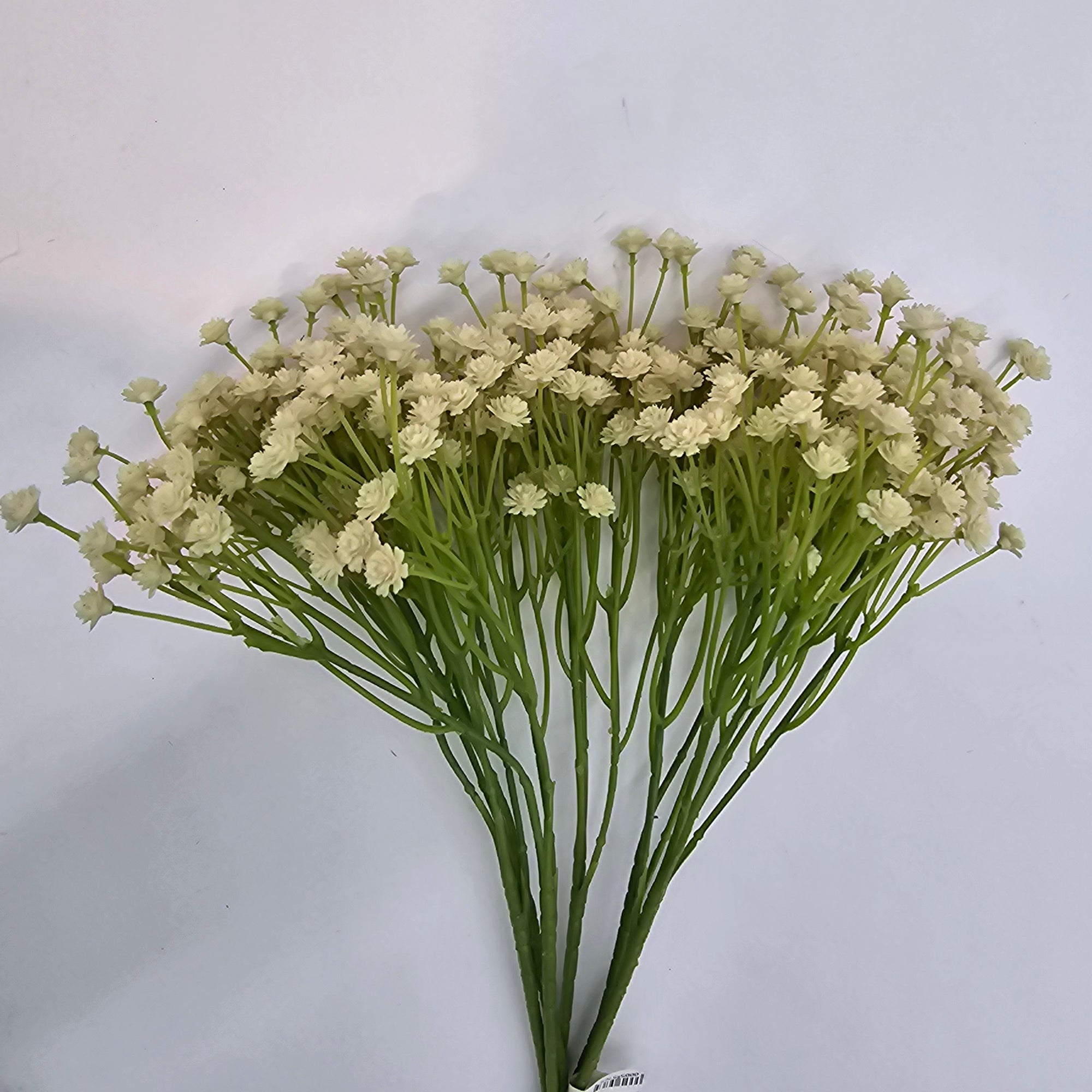 Baby's Breath Bush--#fbg483