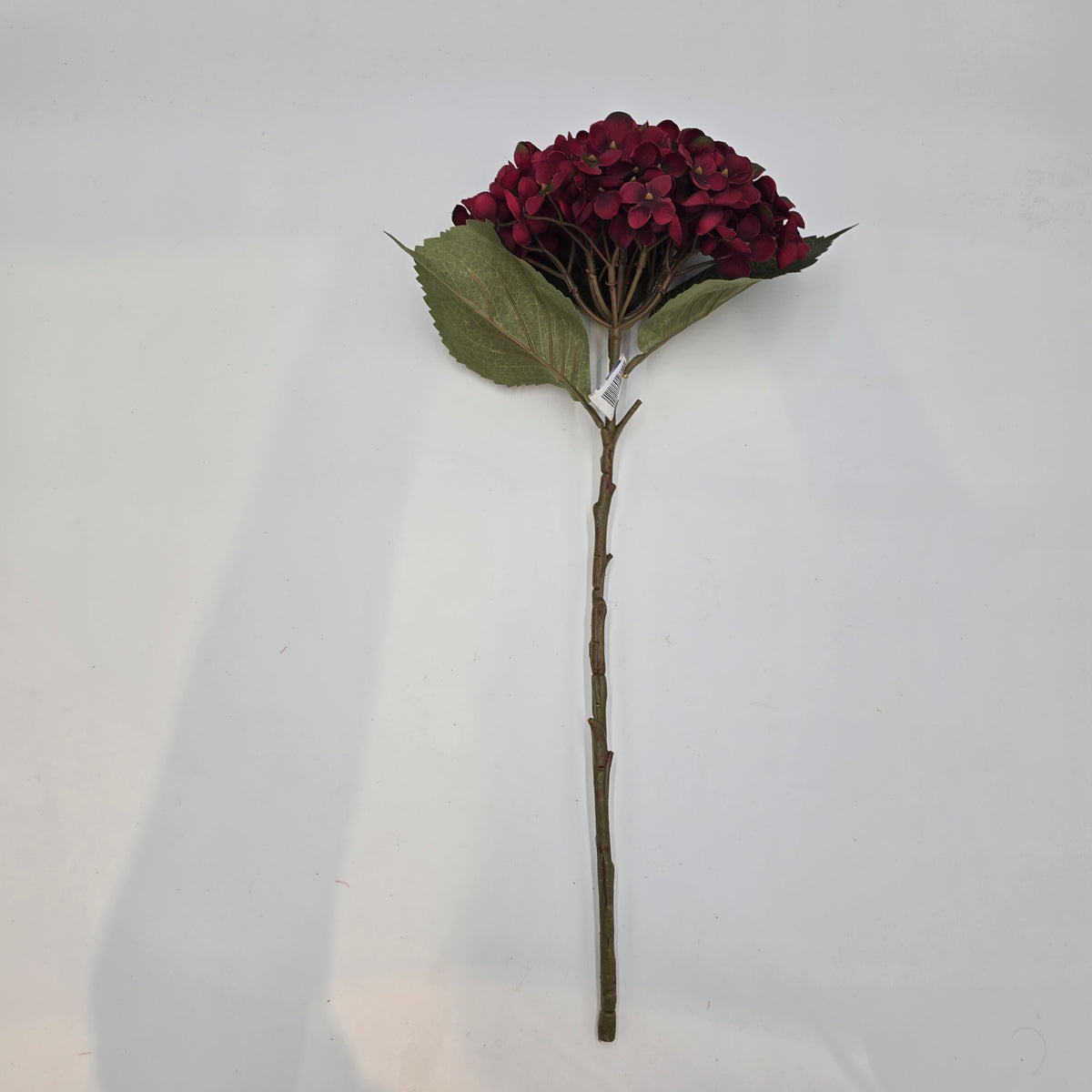 Hydrangea-20.5&quot; #fsh614