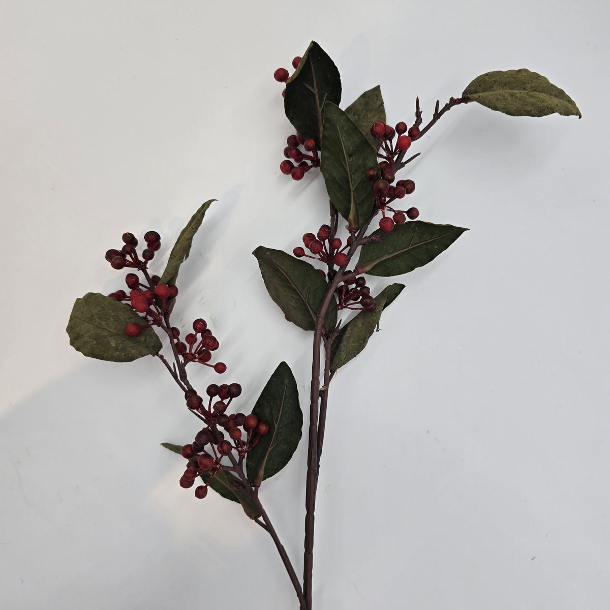 31&quot; Berry -- #fsb583