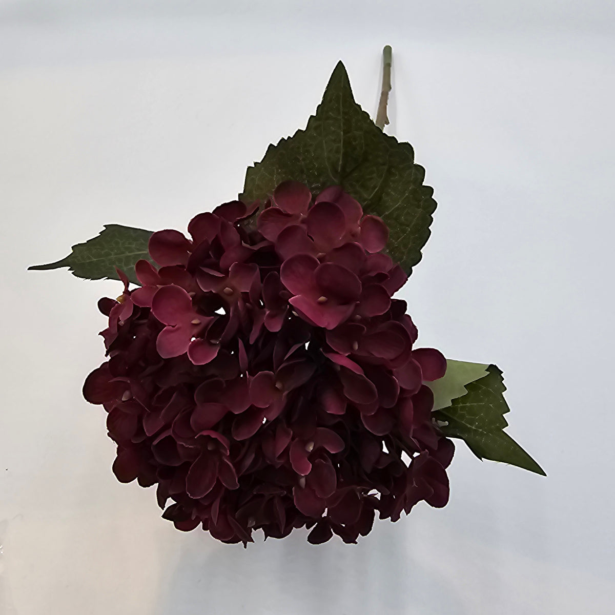 Hydrangea-20.5&quot; #fsh614