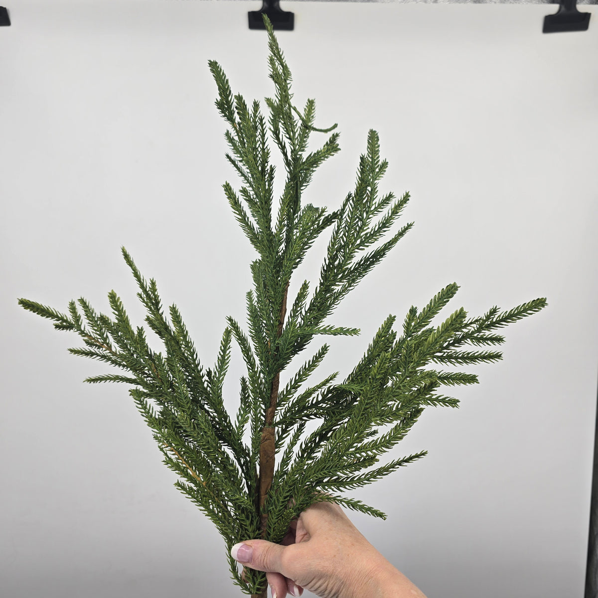 36&quot; Cypress Pine Spray-#ysc111