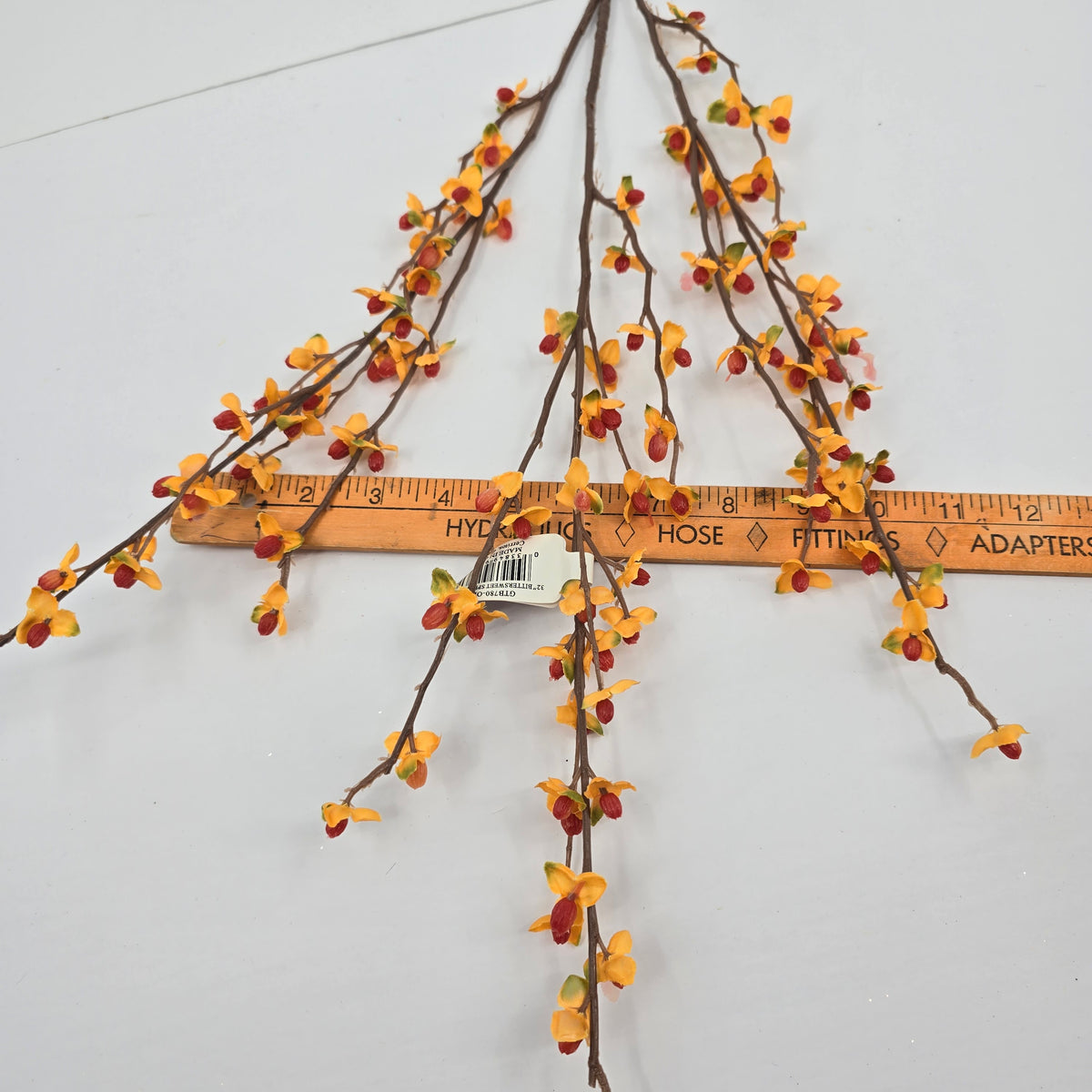 32&quot; Bittersweet--#gtb780