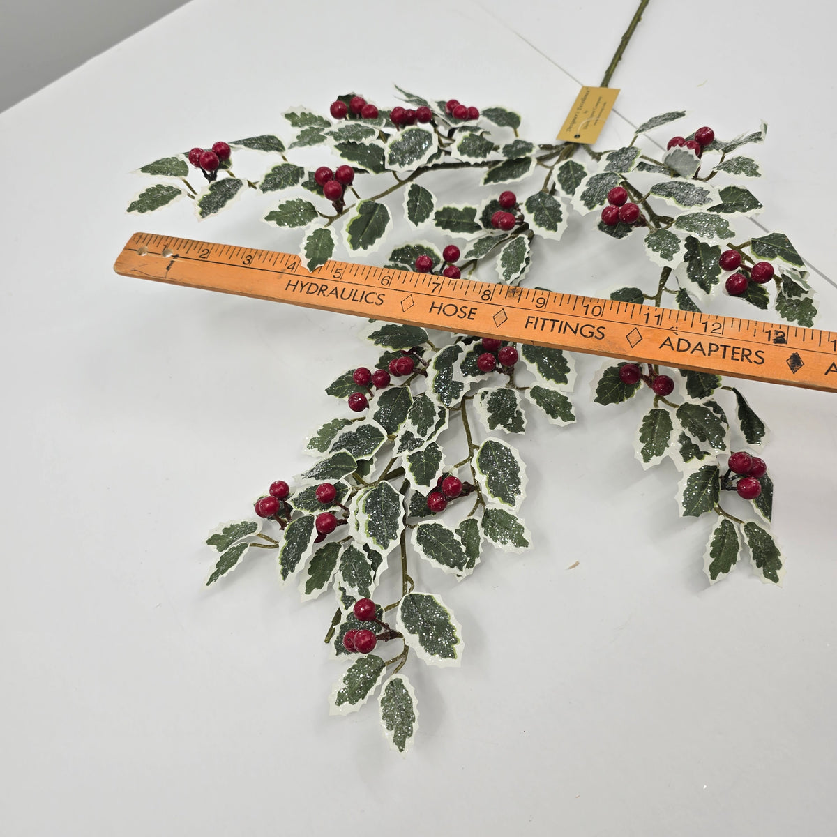 28.5 Fosteri Holly-#270489