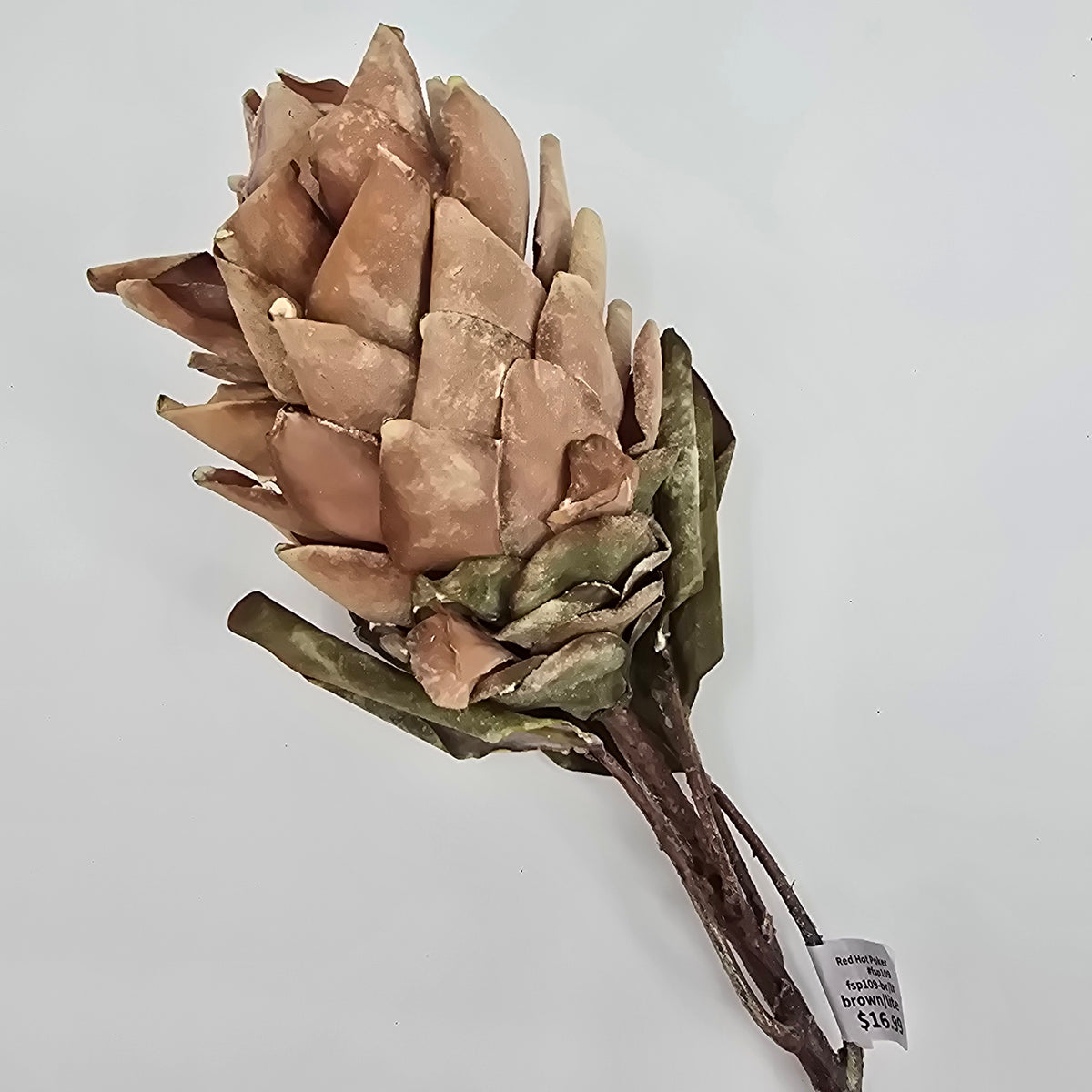 Red Hot Poker #fsp109