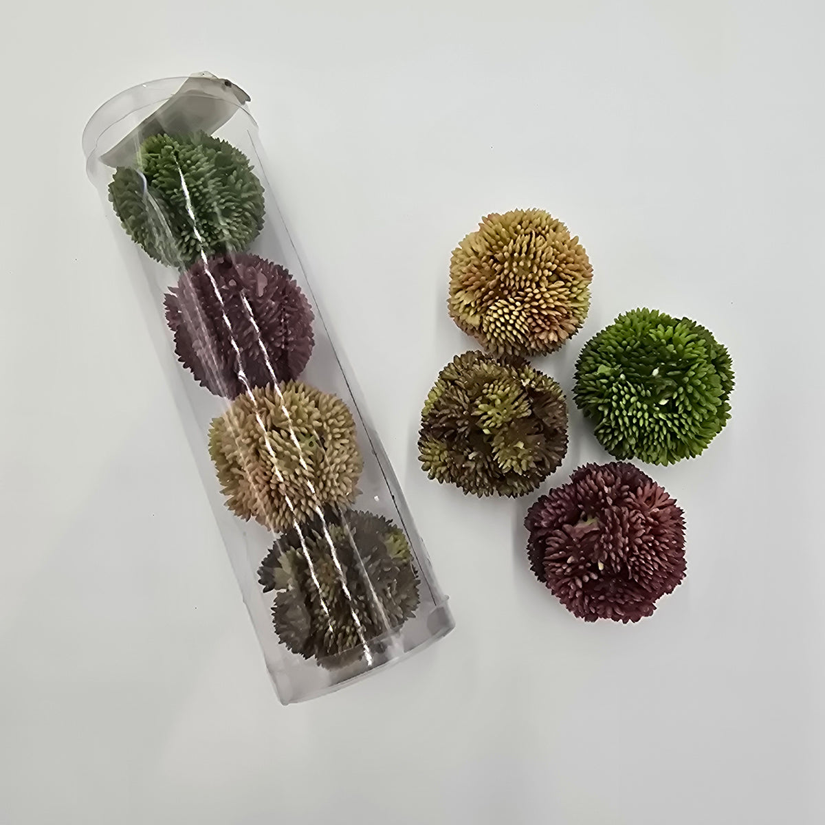 Set 4 sedum balls--2&quot; dia succulent