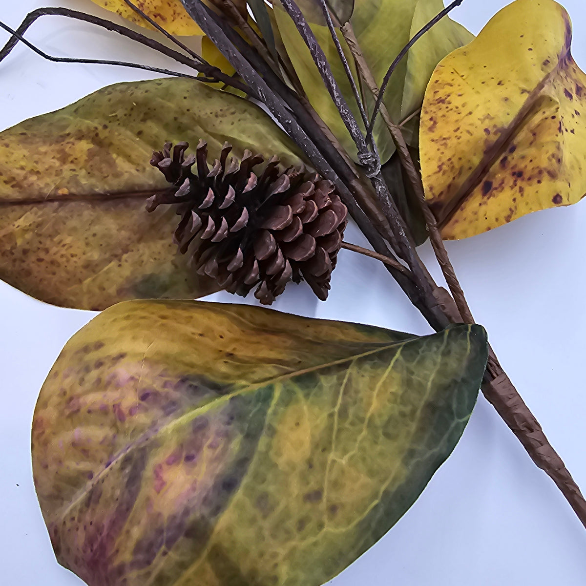 Magnolia/Cone-38&quot; #psm300