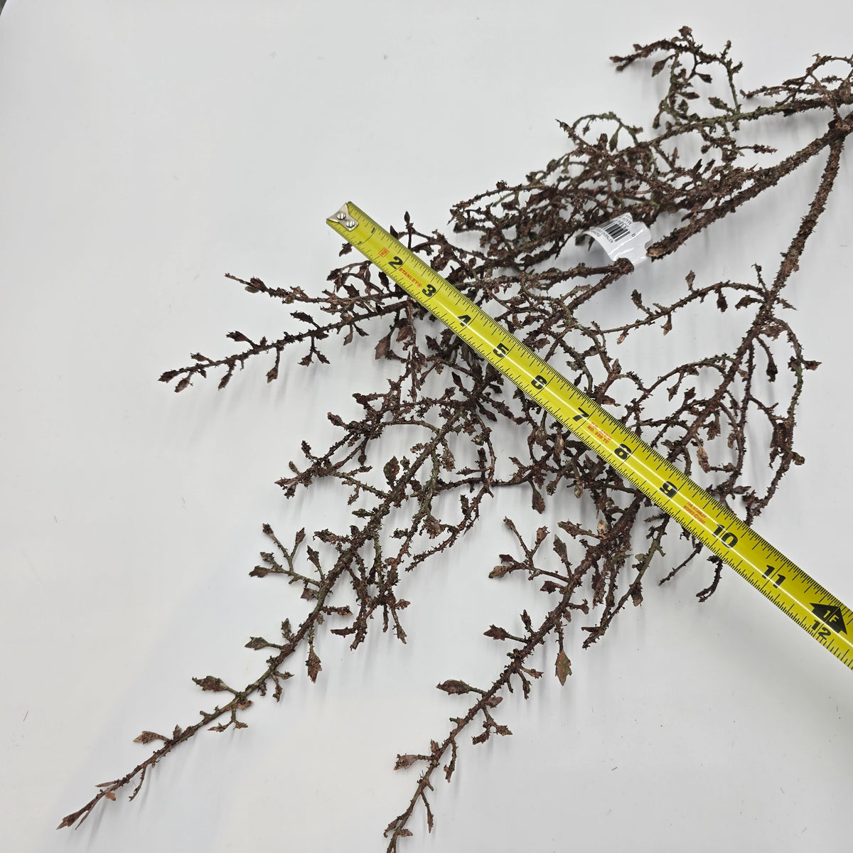 43&quot; Mini Fern/Twiggy Branch Spray--#psf646