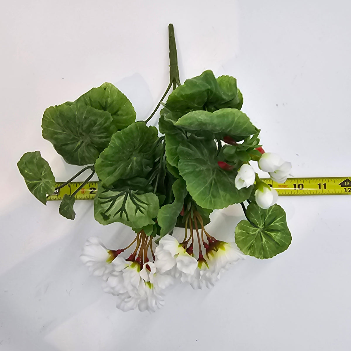 Mini Geranium--#m6031