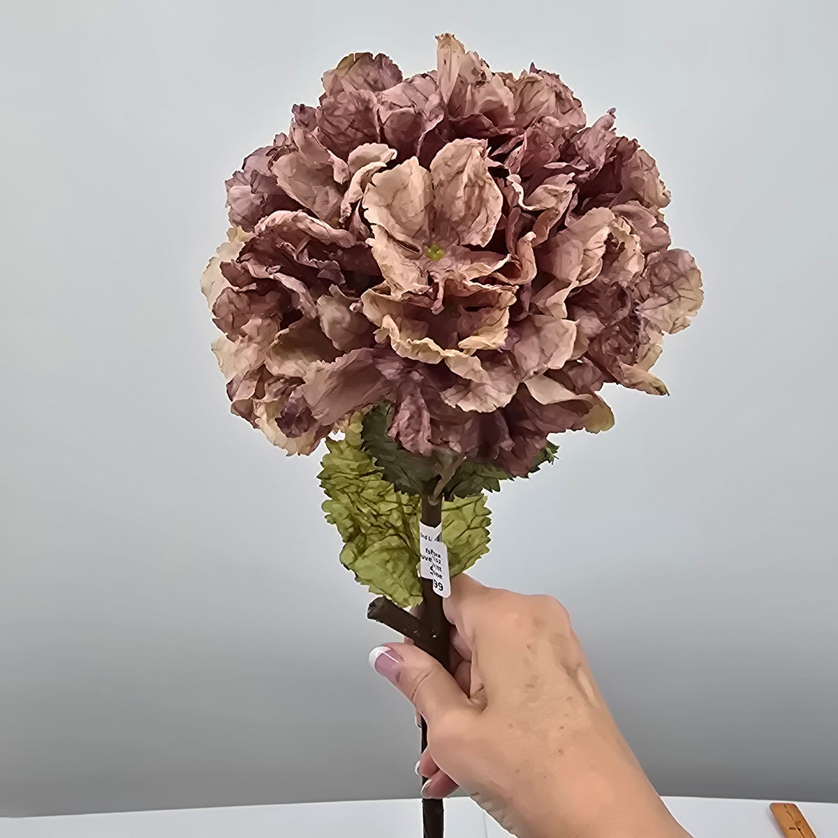 Dried Lk Hydrangea #fsh152