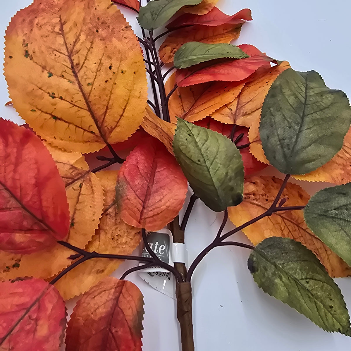 20&quot; Salal Leaf Pick--#pks433