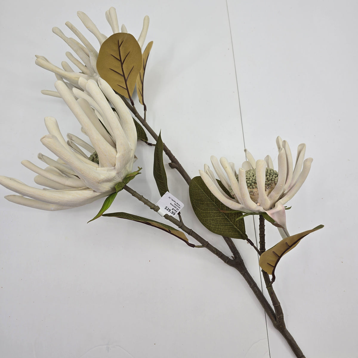 41&quot; Spider Mum -- #fsm180