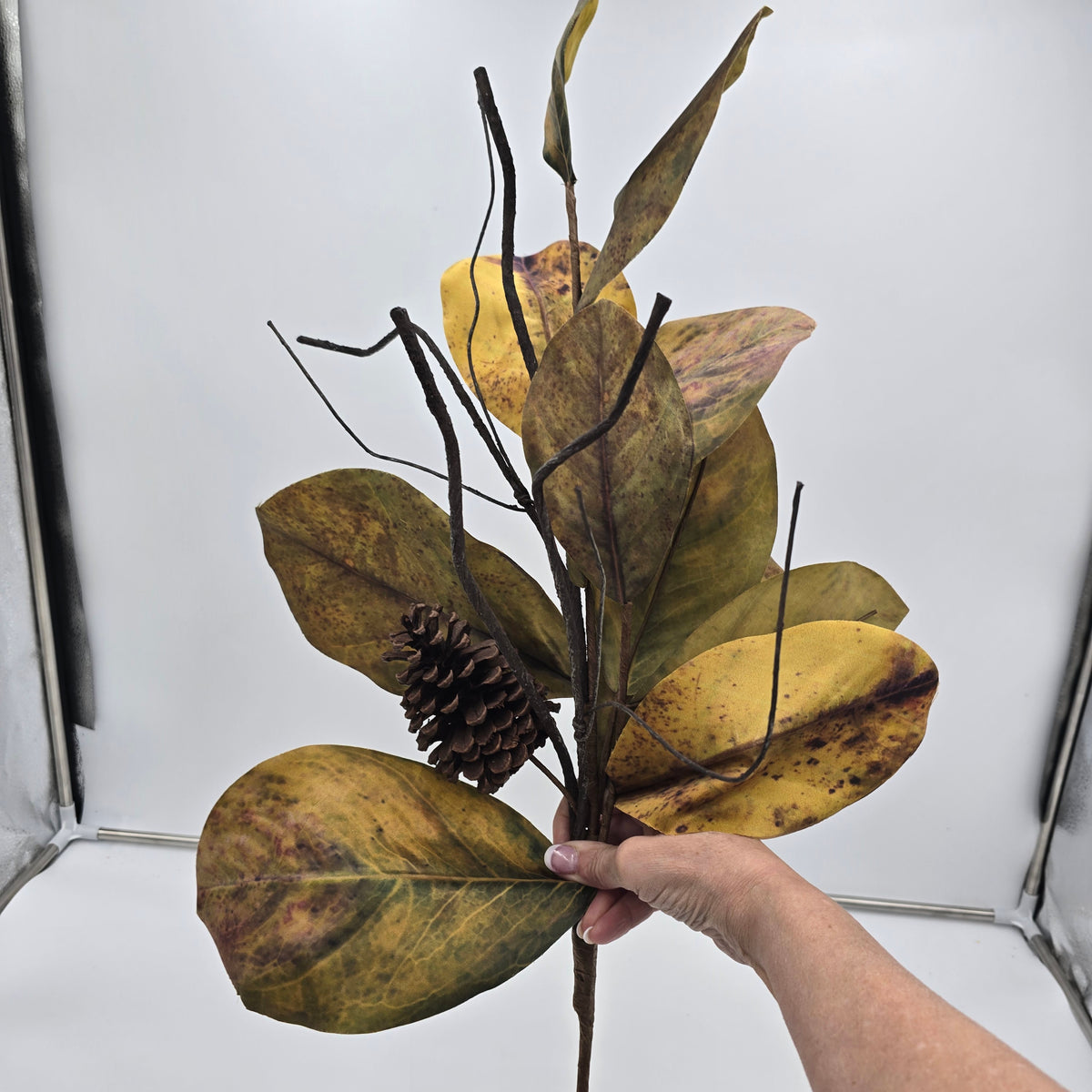 Magnolia/Cone-38&quot; #psm300