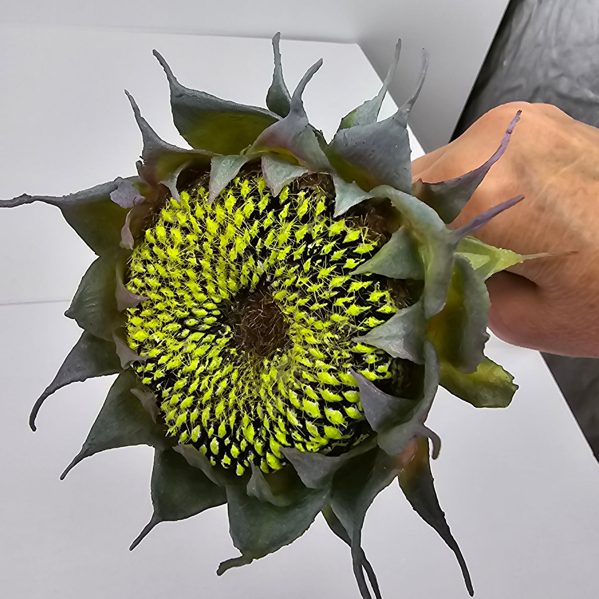 23&quot; Sunflower Pod--#fss823