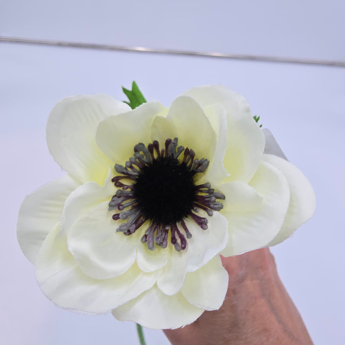 16.5&quot;ANEMONE--fsa048