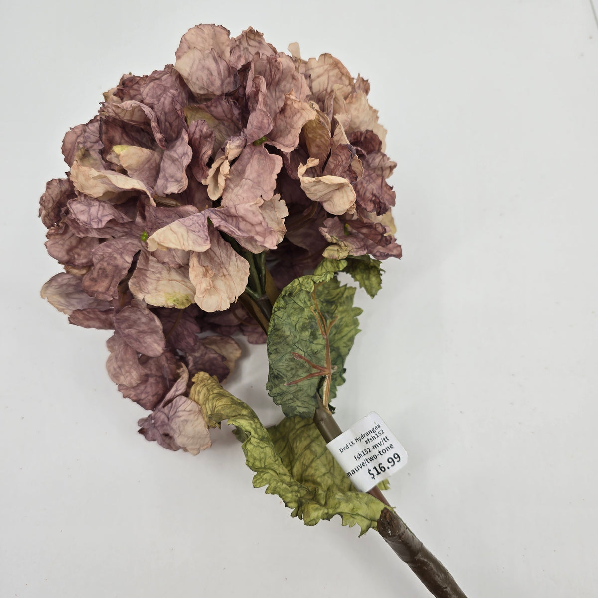 Dried Lk Hydrangea #fsh152
