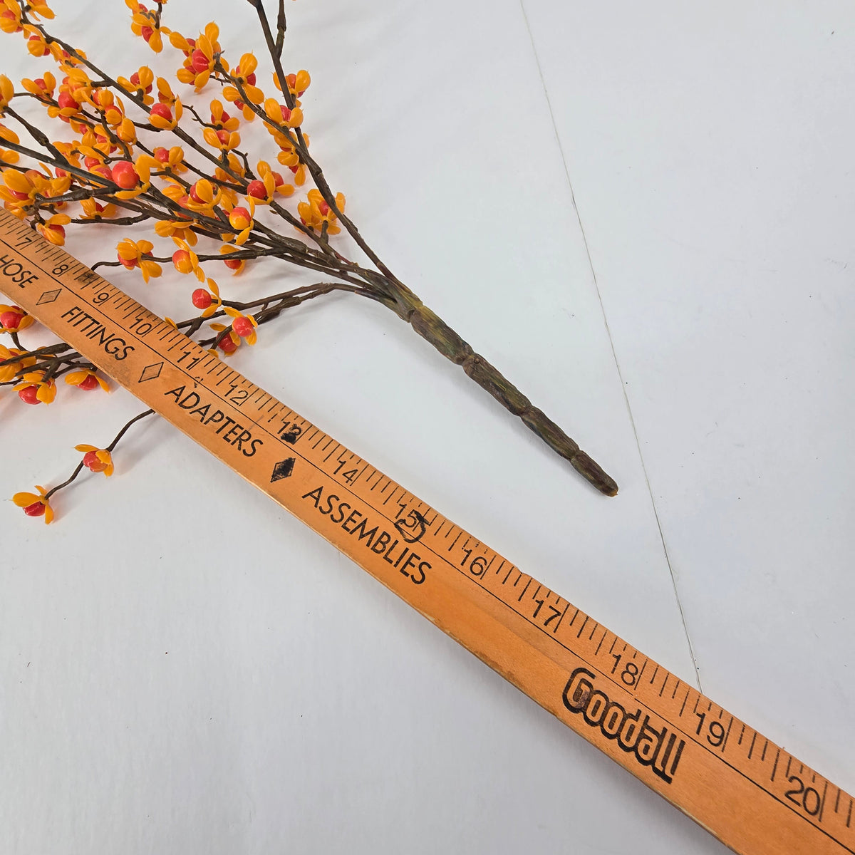 17&quot; Bittersweet Bush--#fbb359