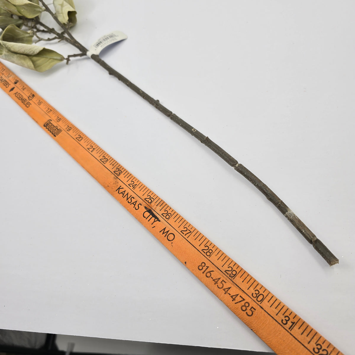 29.5&quot; Protea Leaf Spray--#psp713