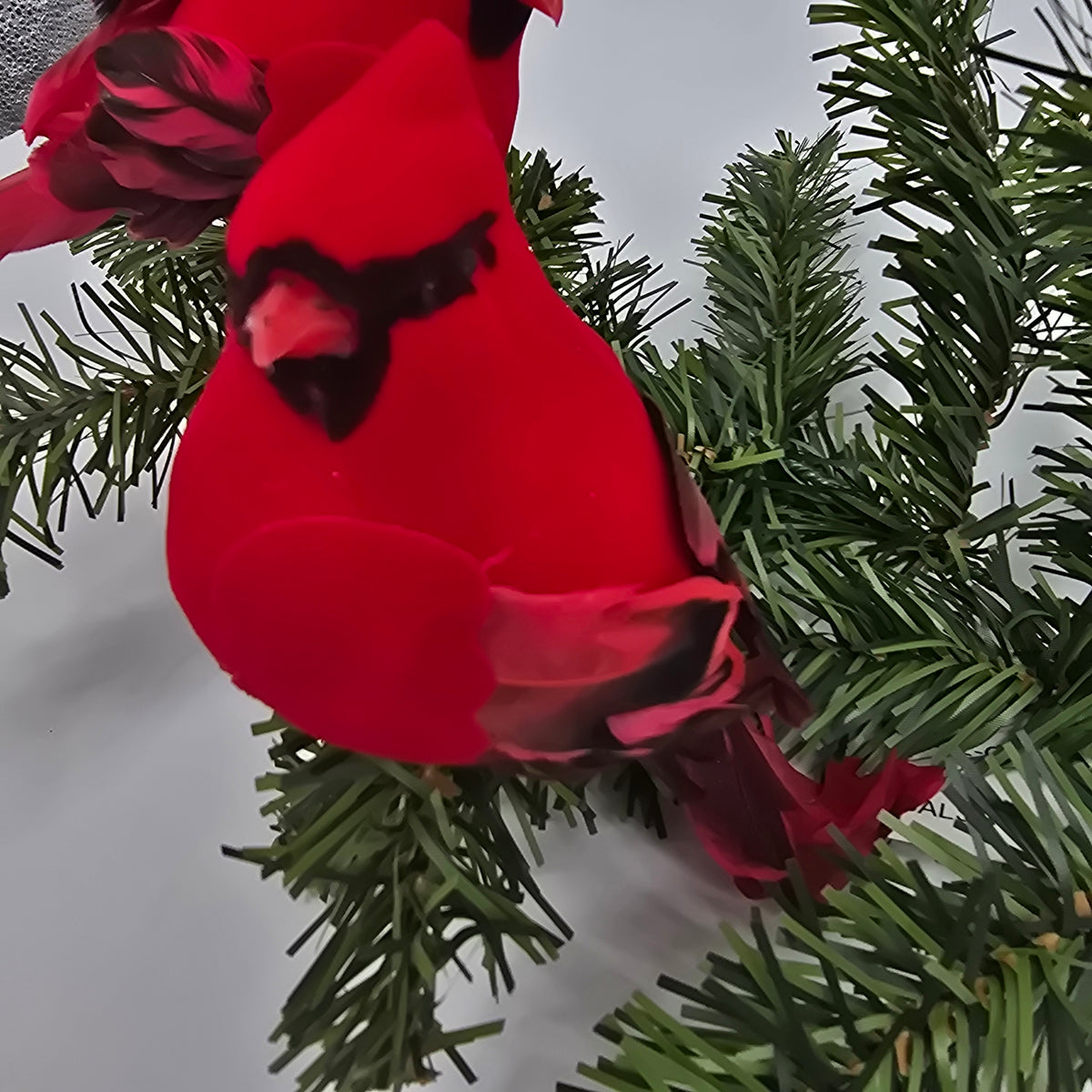 5&quot; Fat Cardinal/clip-#bxc020