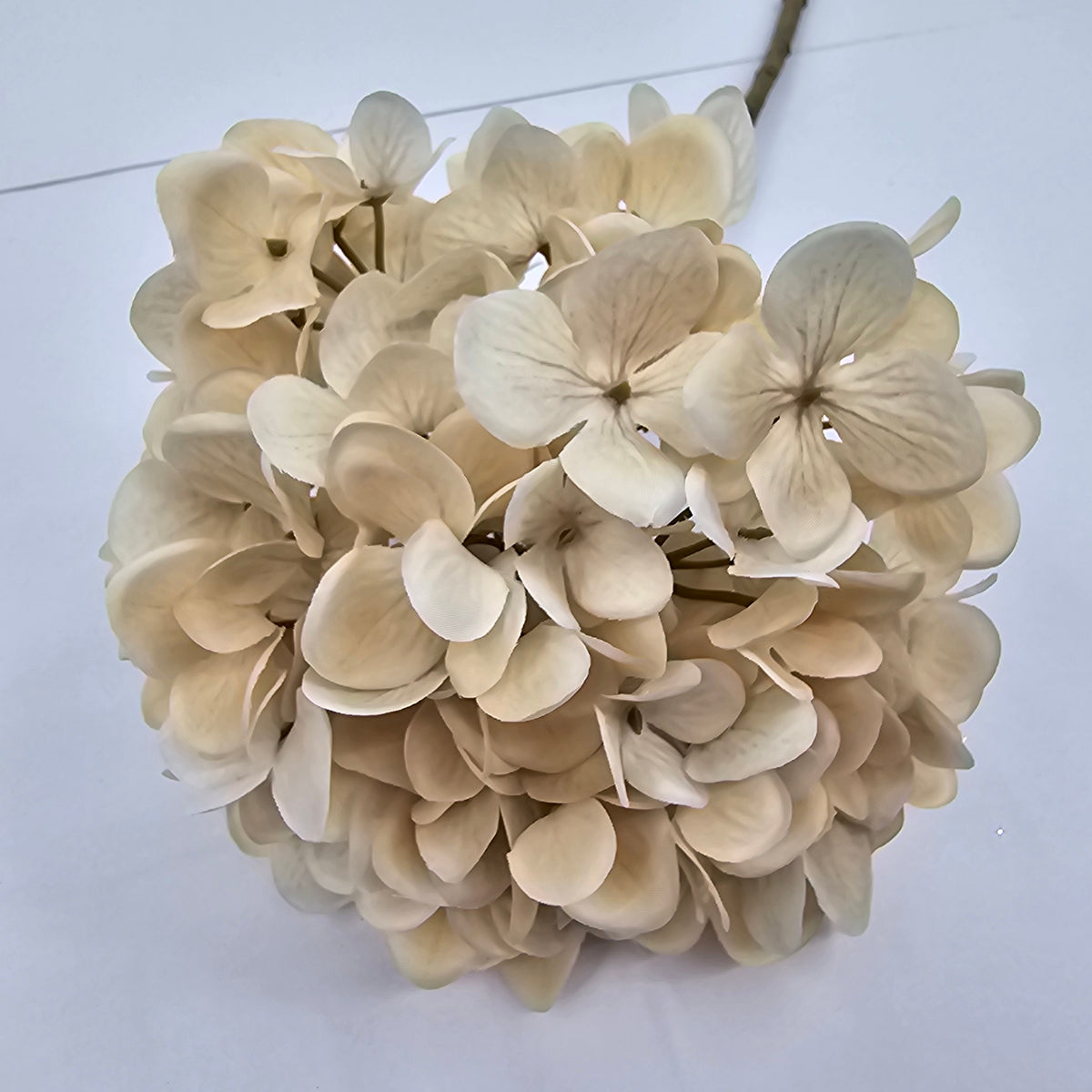 18&quot; Hydrangea--#fsh810