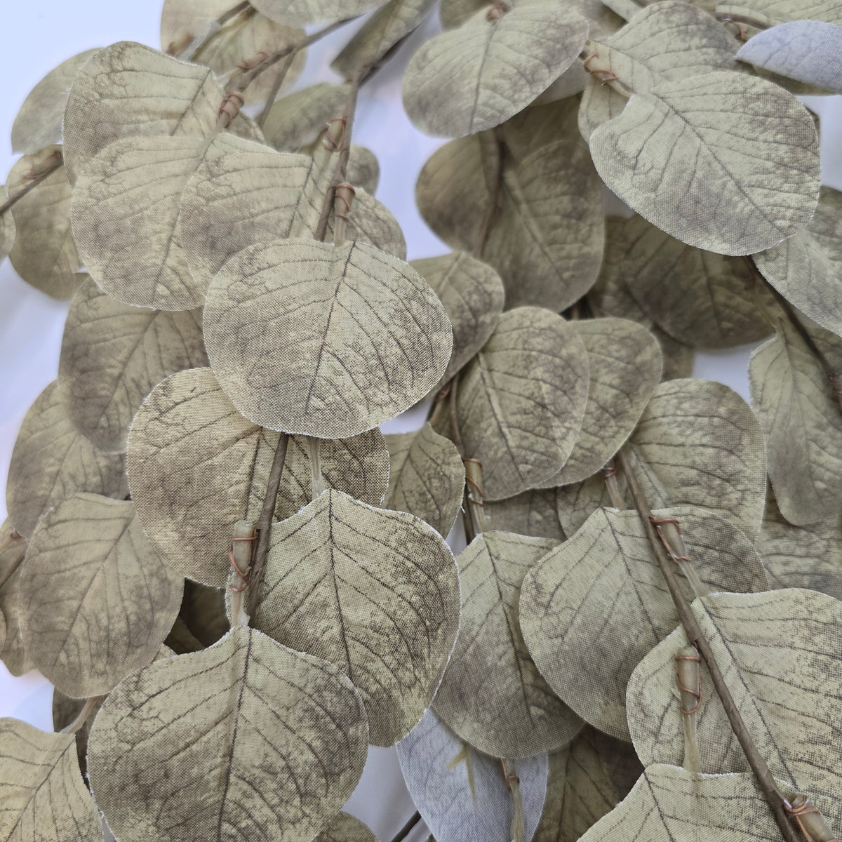 Eucalyptus Swag-31&quot; #pae502