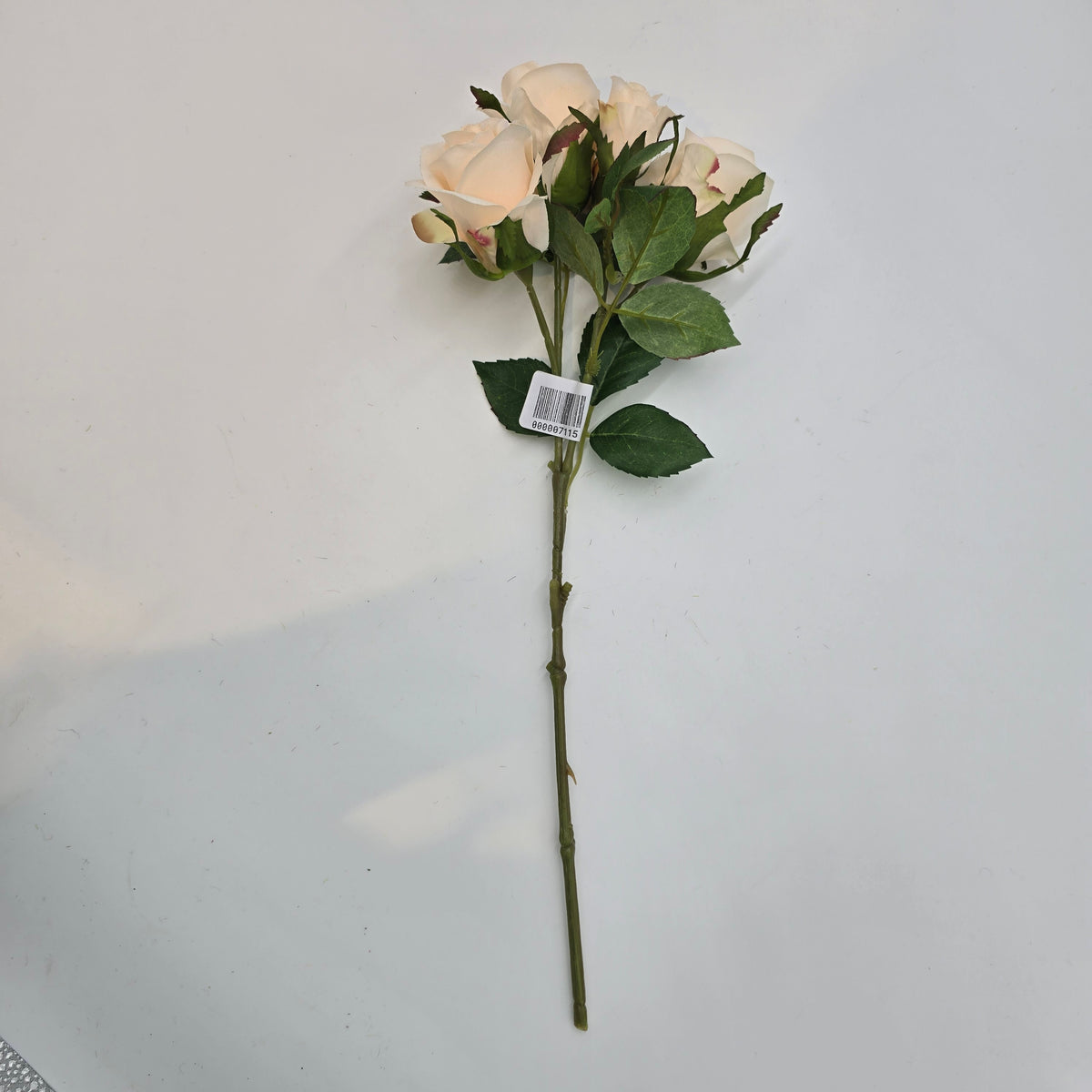 15.5&quot;ROSE--fsr205