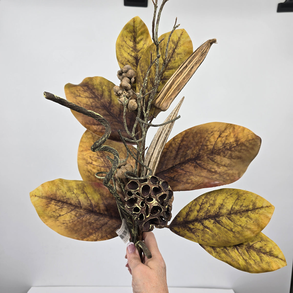 31&quot; Magnolia Leaf/Pod--#psm031