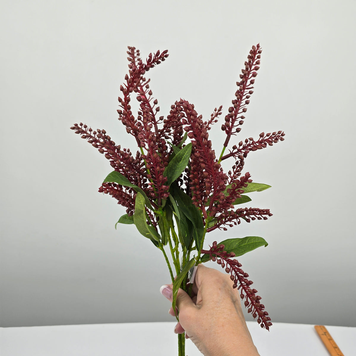 25&quot;PIERIS JAPONICA--#fsj991