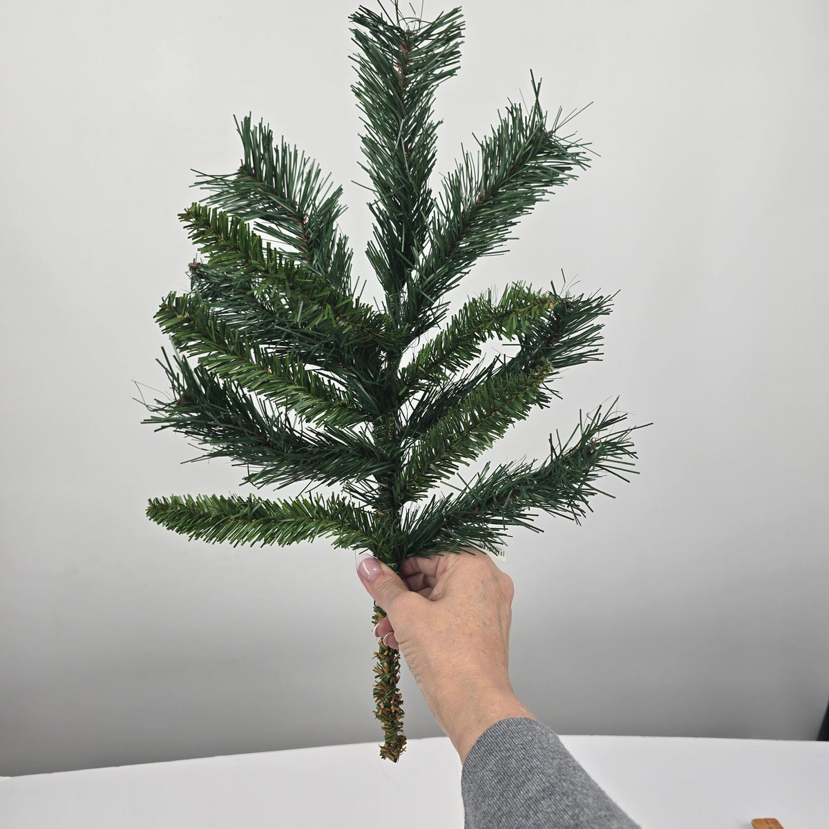 20&quot; Princess Pine