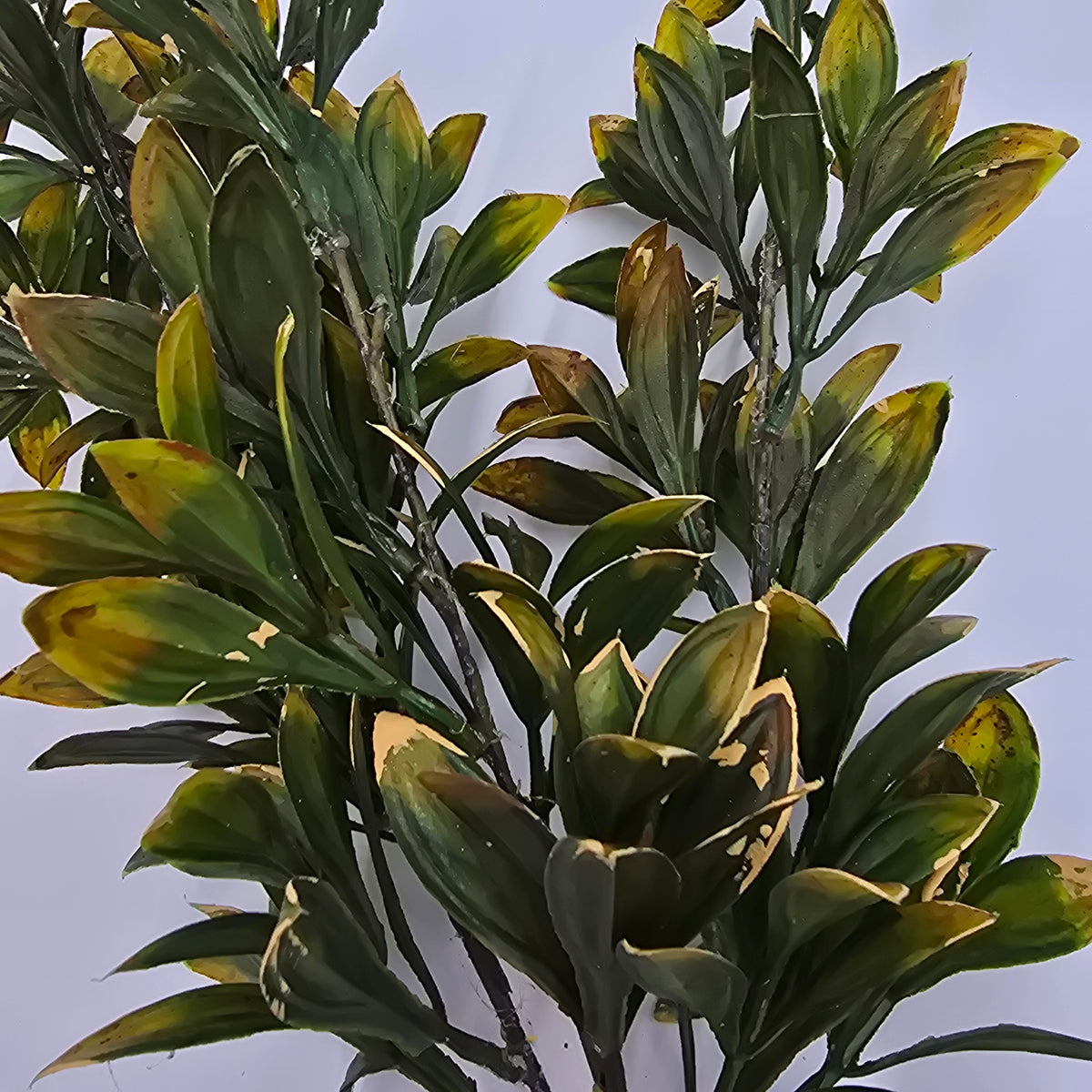 26&quot; Bayleaf Spray--#psb706