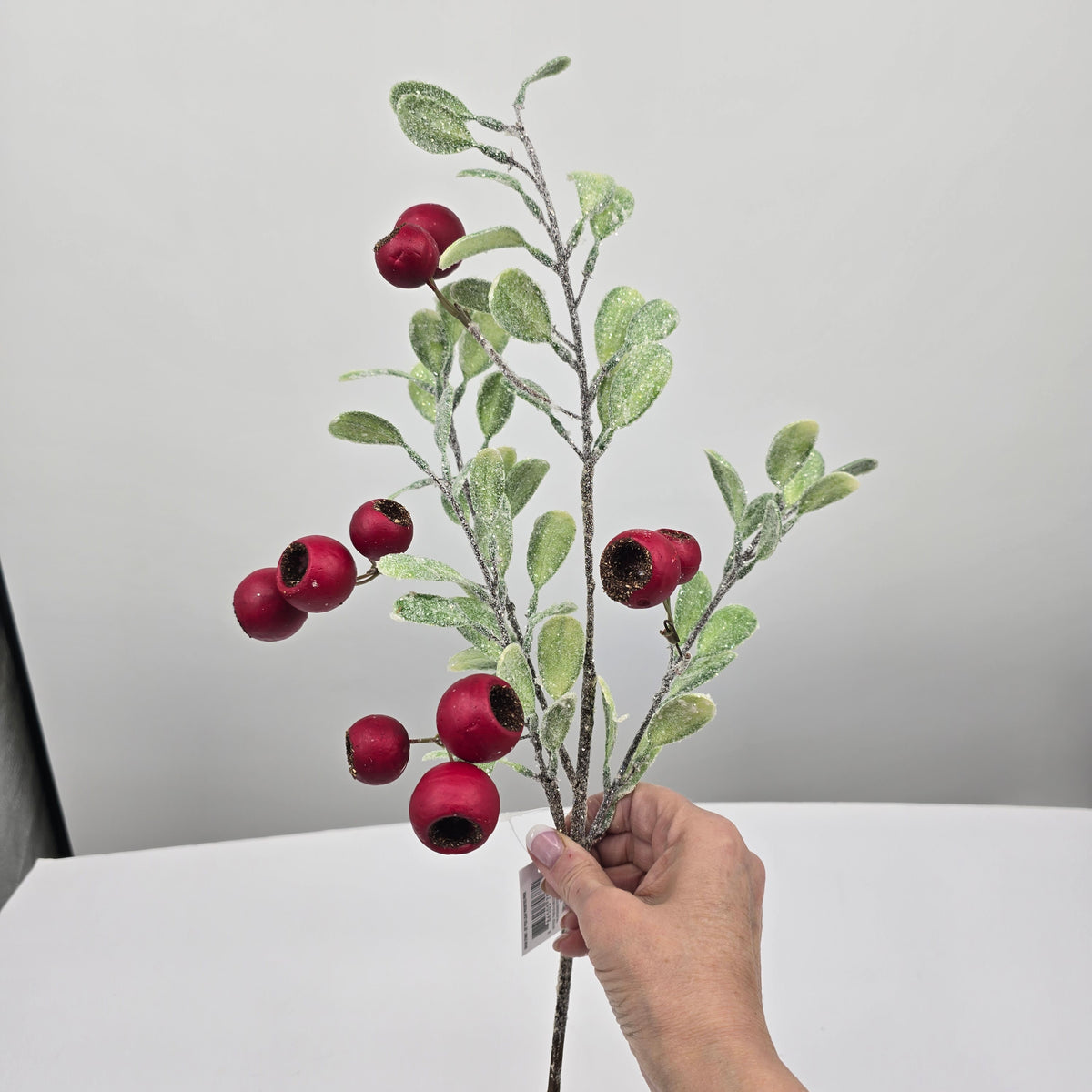 20&quot; Pod Spray--#270687