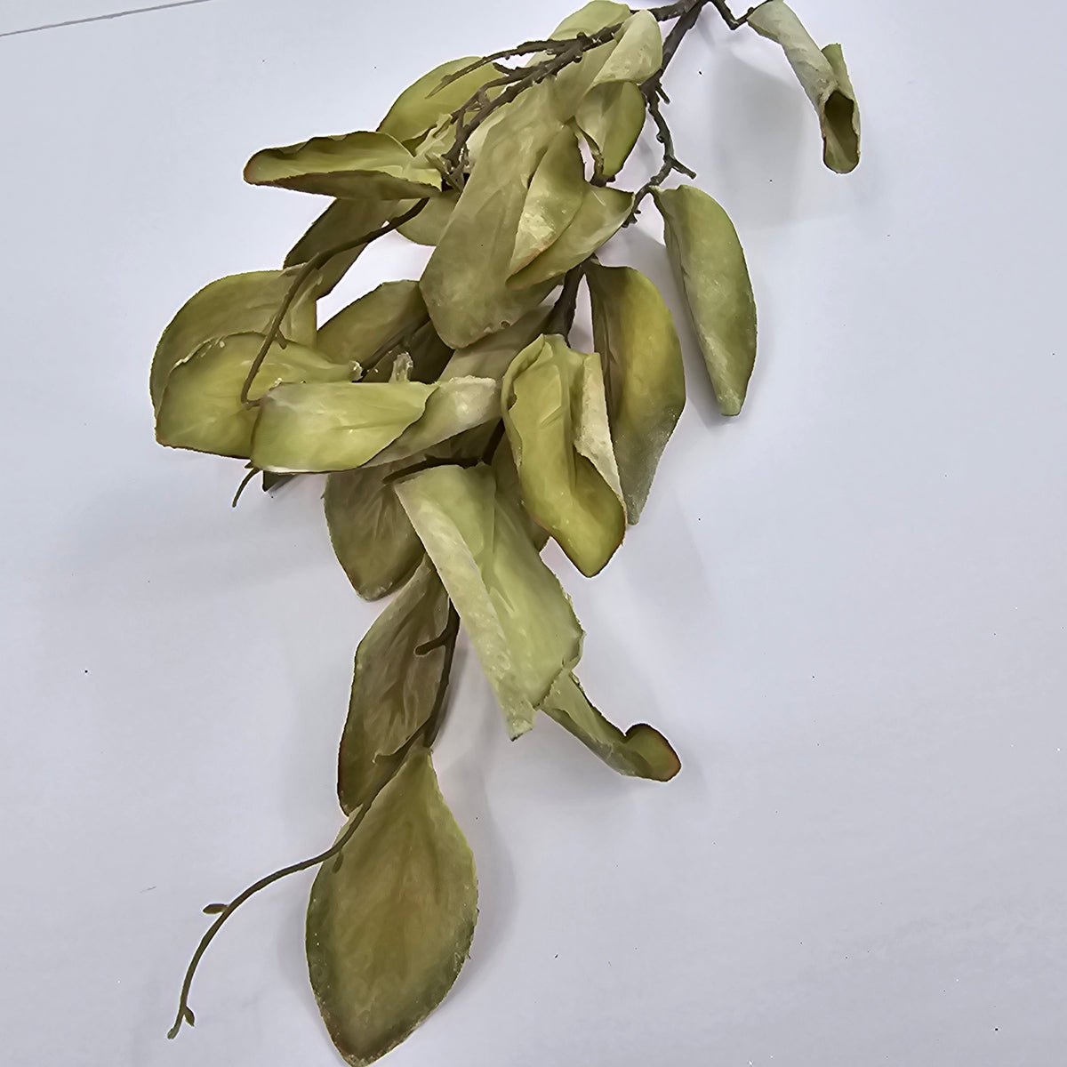 29.5&quot; Protea Leaf Spray--#psp713