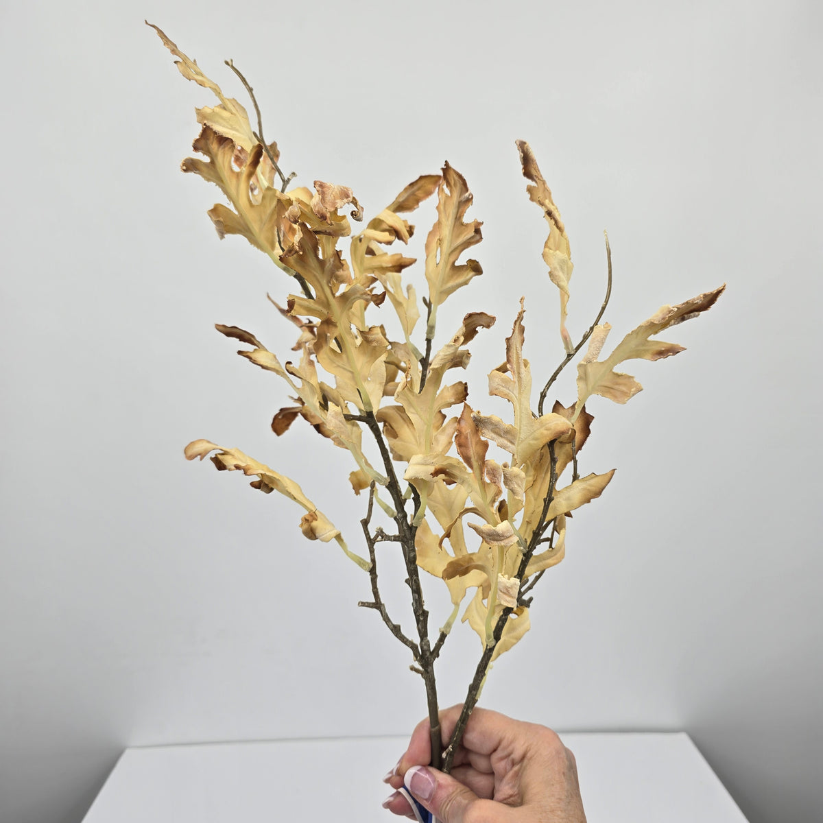 32&quot; Dried Oakleaf Spray-#pso888