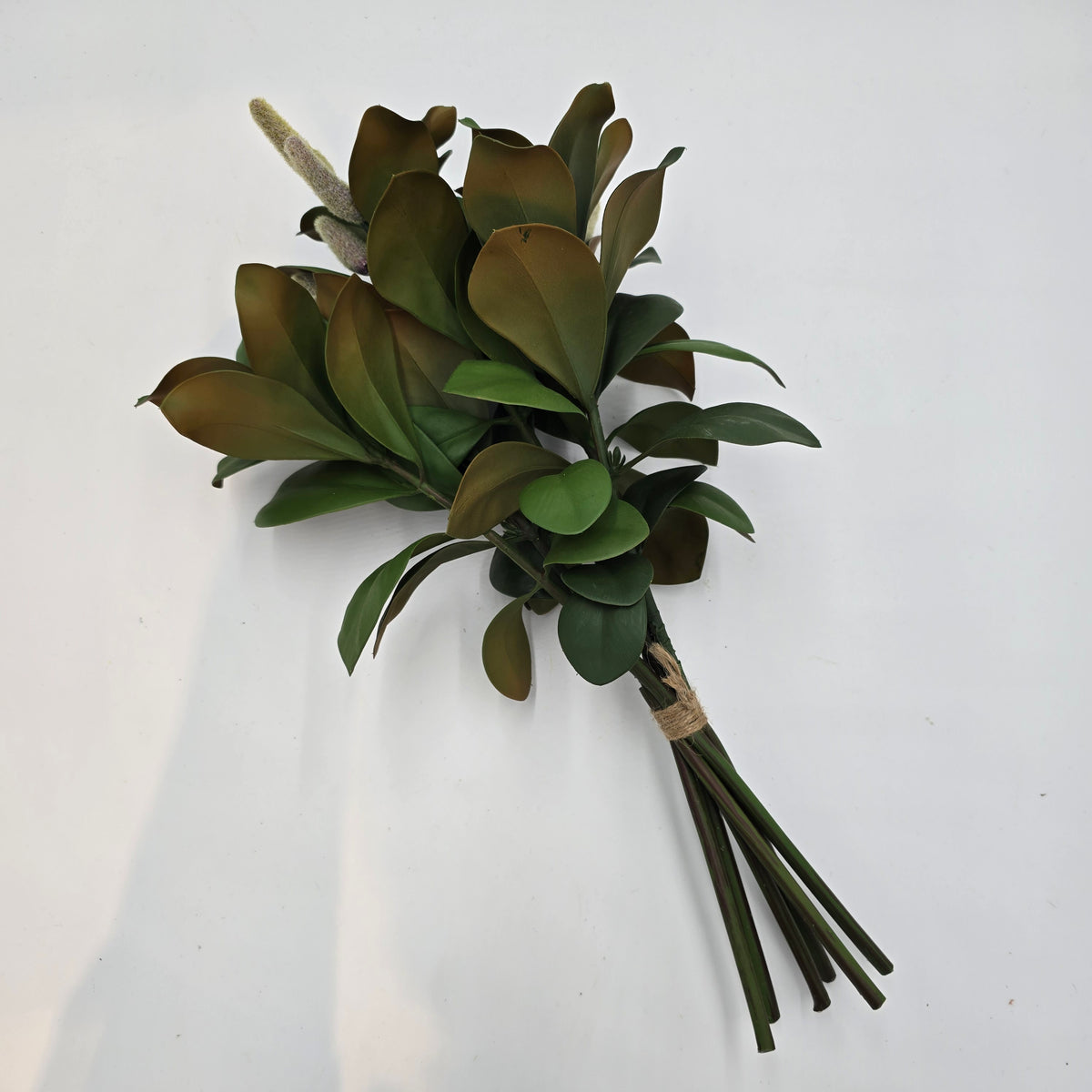 Magnolia Leaf Bundle