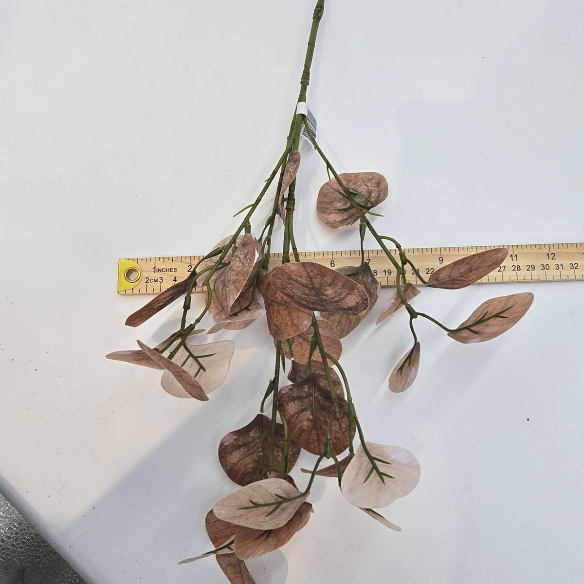 25&quot; Smoketree Lf--#pss821