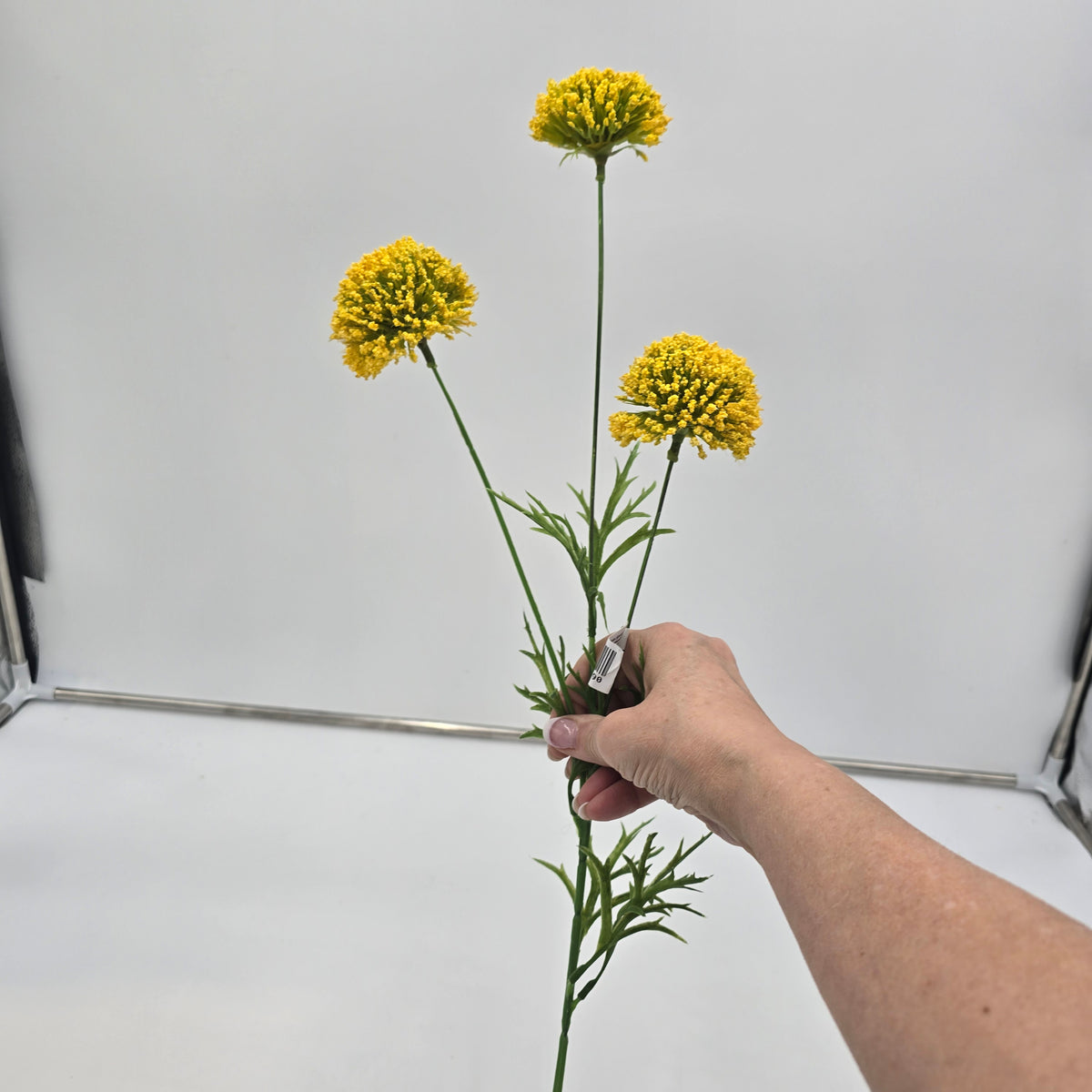 29&quot; Allium Spray--#fsa453