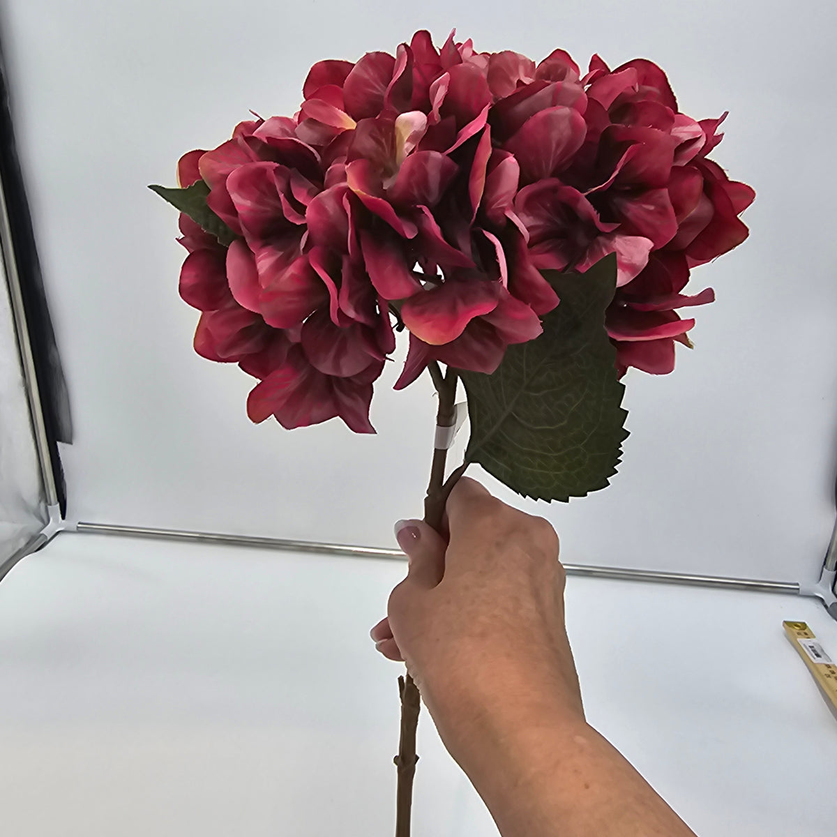 25&quot; Hydrangea Spray--fsh021-be