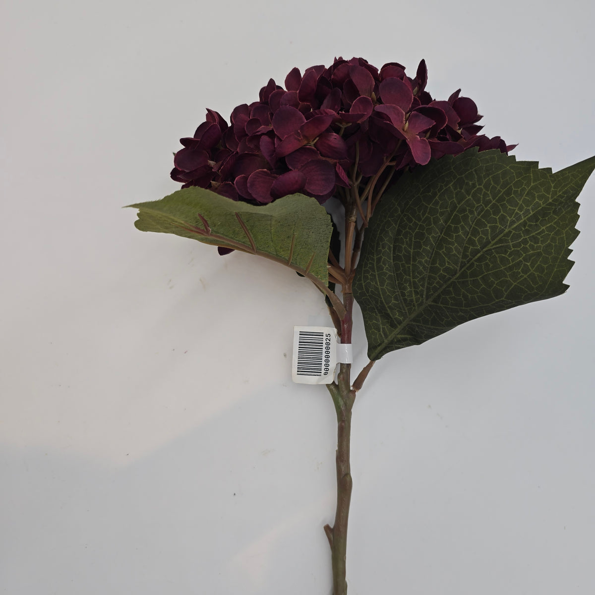 Hydrangea-20.5&quot; #fsh614