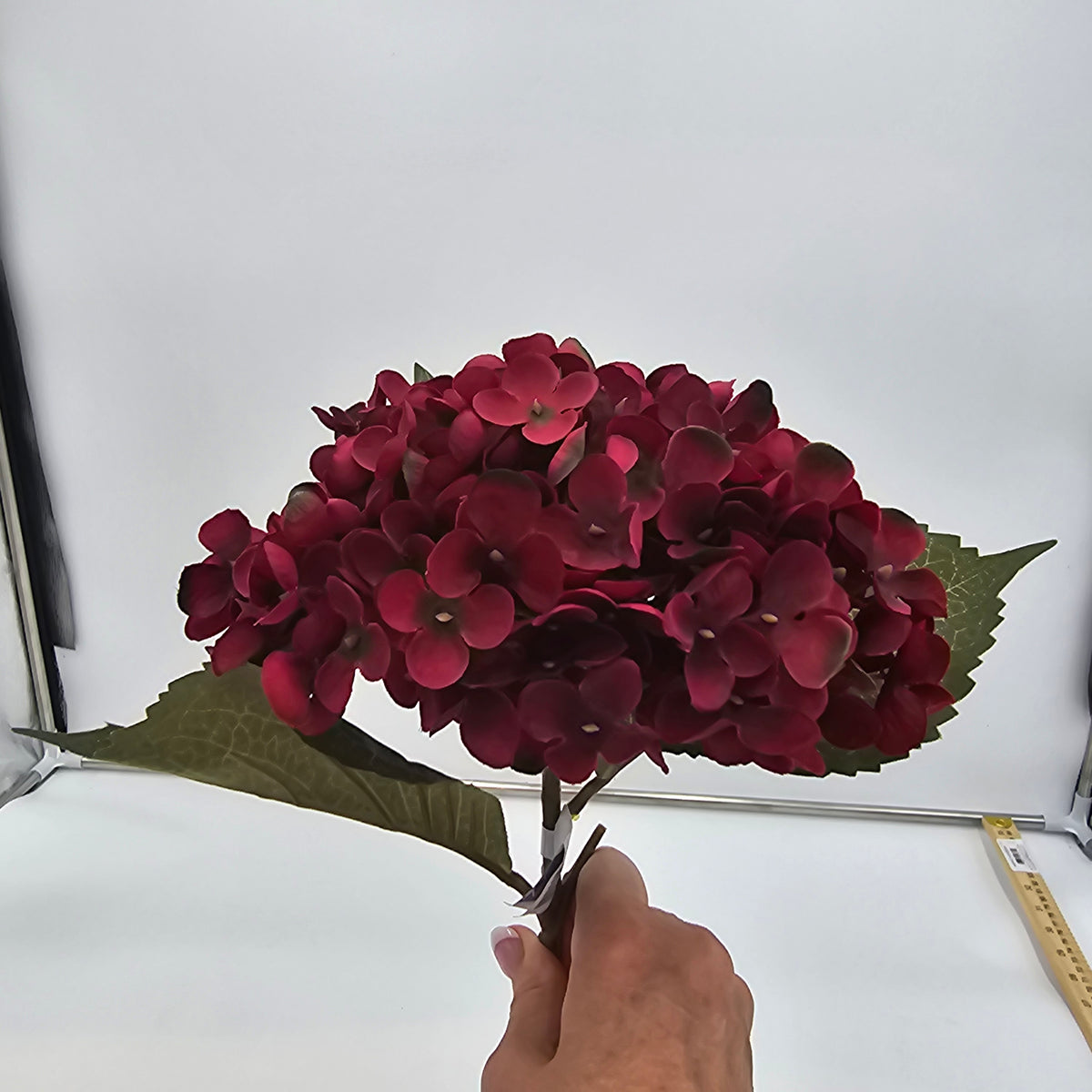 Hydrangea-20.5&quot; #fsh614
