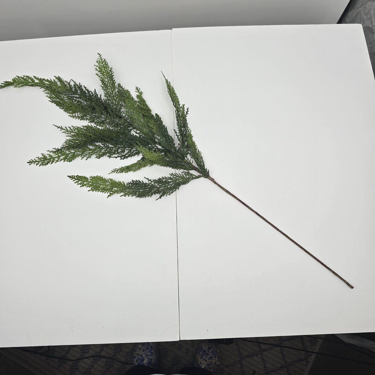 40&quot; Cedar Spry-#ysc409