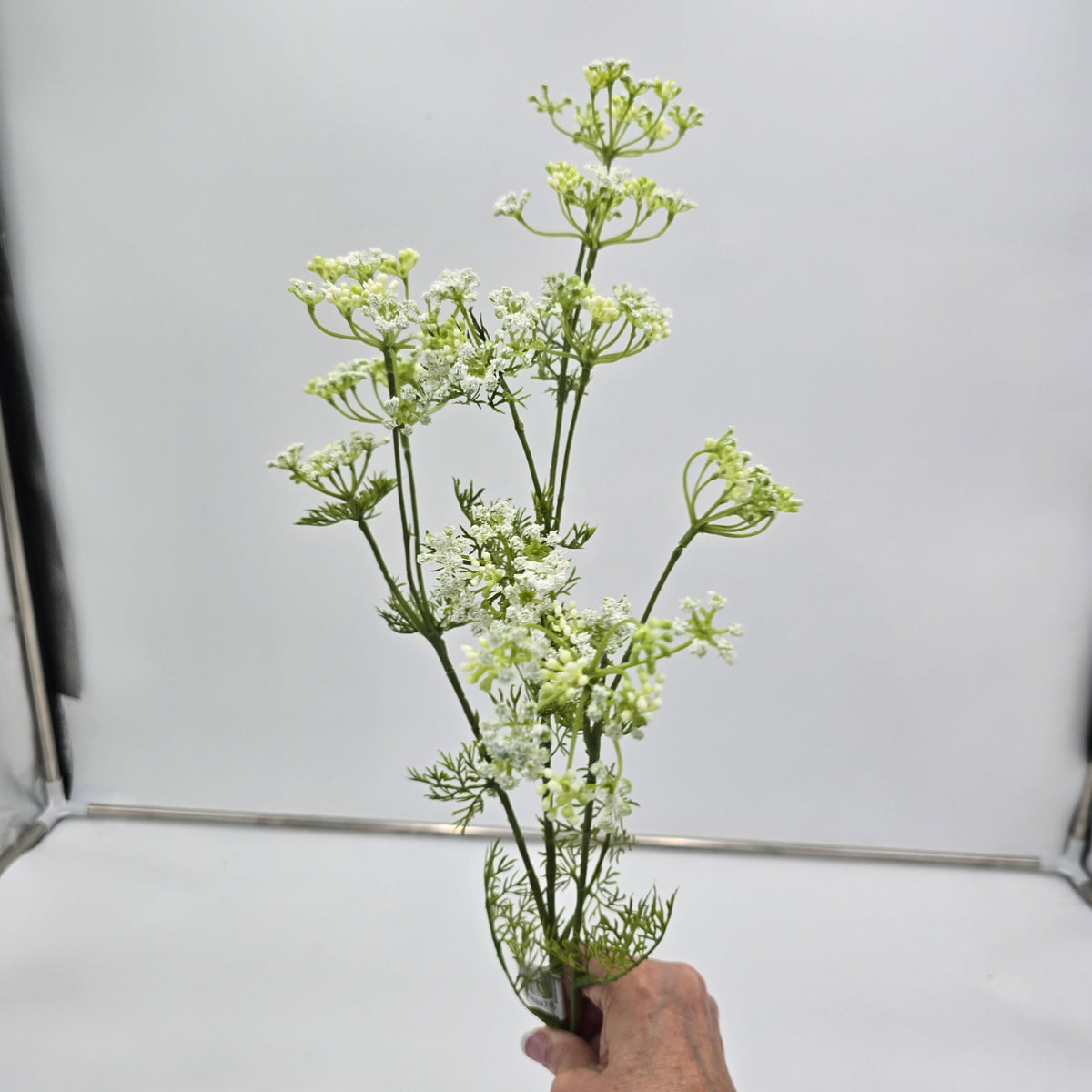 32&quot;DILL--fsd656-wh/gr