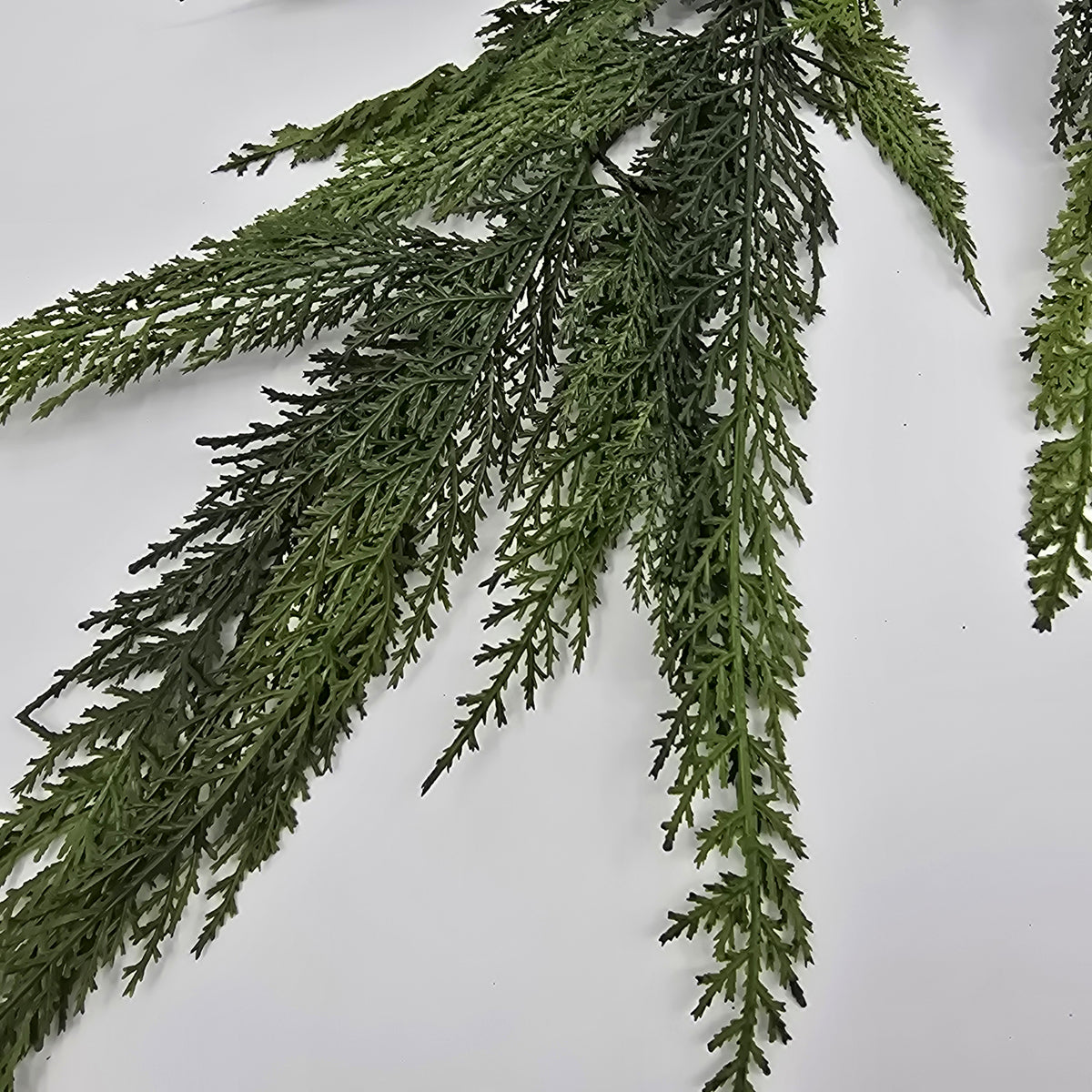 40&quot; Cedar Spry-#ysc409